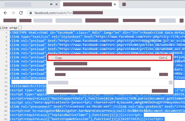 Highlight and copy all source data from the page