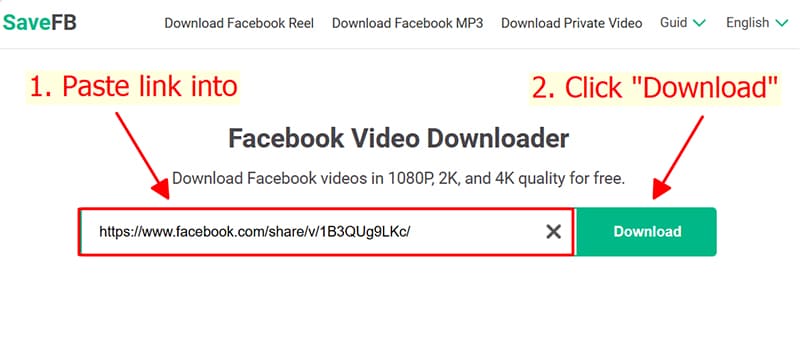 Paste the Facebook link into Facebook SaveFB